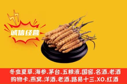 无锡惠山区回收冬虫夏草